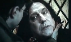 snape