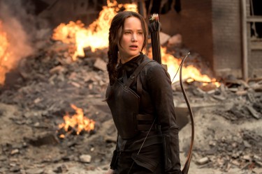 Katniss_Mocking Jay_after explosion