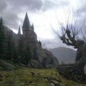 Harry Potter Therapy Podcast Season 2 Chapter 5: The Whomping Willow