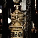 Picture of a bottle of Skele-Gro from Harry Potter