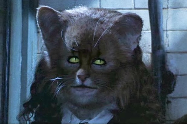 hermione's cat plush