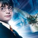 Picture of Harry Potter and his pet owl Hedwig